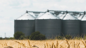 A typical multi silo plant for food storage, for example  grain